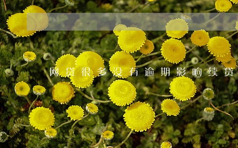 网贷很多没有逾期影响续贷么 网贷很多没有逾期影响续贷么