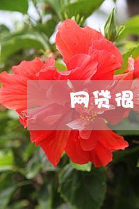 网贷很多笔逾期会失信嘛 网贷很多笔逾期会失信嘛
