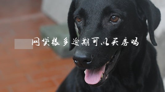 网贷很多逾期可以买房吗 网贷很多逾期可以买房吗