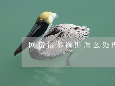 网贷很多逾期怎么处理 网贷很多逾期怎么处理