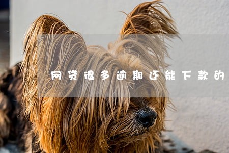 网贷很多逾期还能下款的口子 网贷很多逾期还能下款的口子
