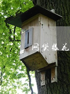 网贷很花无逾期能走什么网贷 网贷很花无逾期能走什么网贷
