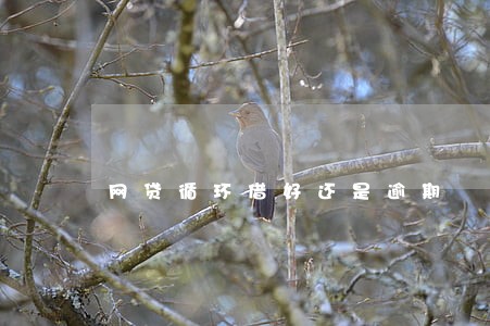 网贷循环借好还是逾期