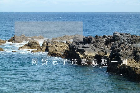 网贷忘了还款逾期一周 网贷忘了还款逾期一周