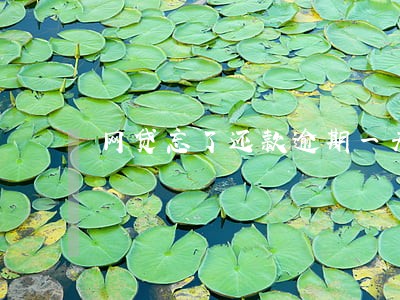 网贷忘了还款逾期一天罚 网贷忘了还款逾期一天罚