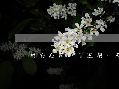 网贷忘记还了逾期一天 网贷忘记还了逾期一天