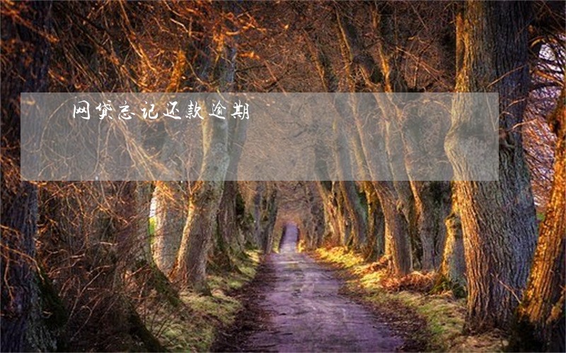 网贷忘记还款逾期