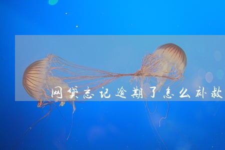 网贷忘记逾期了怎么补救 网贷忘记逾期了怎么补救