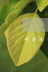 网贷忘记逾期金额 网贷忘记逾期金额
