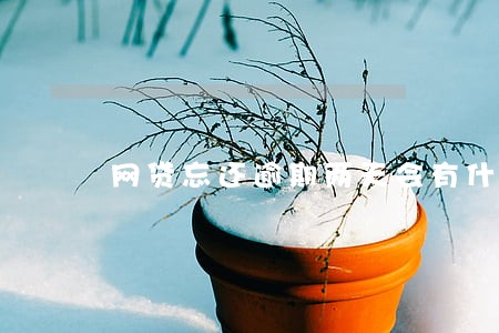 网贷忘还逾期两天会有什么后果 网贷忘还逾期两天会有什么后果
