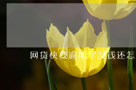网贷快要逾期了没钱还怎么办 网贷快要逾期了没钱还怎么办
