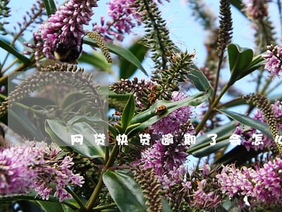 网贷快贷逾期了会怎么样 网贷快贷逾期了会怎么样