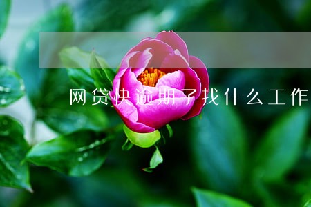网贷快逾期了找什么工作