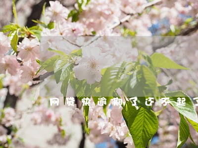 网贷快逾期了还不起了怎么办 网贷快逾期了还不起了怎么办