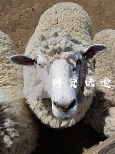 网贷快逾期到处借不到钱了 网贷快逾期到处借不到钱了