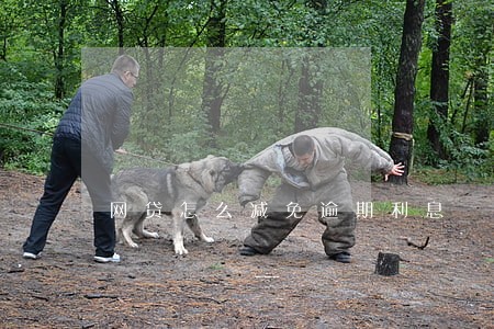 网贷怎么减免逾期利息 网贷怎么减免逾期利息