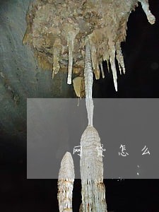 网贷怎么办微众银行逾期还上 网贷怎么办微众银行逾期还上