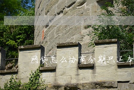 网贷怎么协商分期只还本金