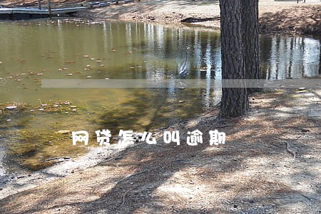 网贷怎么叫逾期 网贷怎么叫逾期