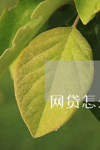 网贷怎么开无恶意逾期证明 网贷怎么开无恶意逾期证明