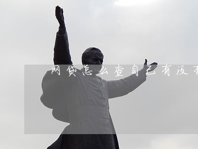网贷怎么查自己有没有逾期记录 网贷怎么查自己有没有逾期记录