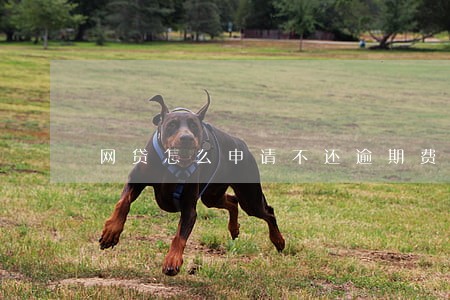 网贷怎么申请不还逾期费用 网贷怎么申请不还逾期费用