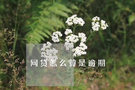 网贷怎么算是逾期 网贷怎么算是逾期