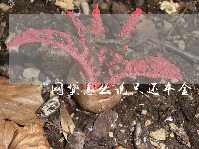 网贷怎么说只还本金 网贷怎么说只还本金