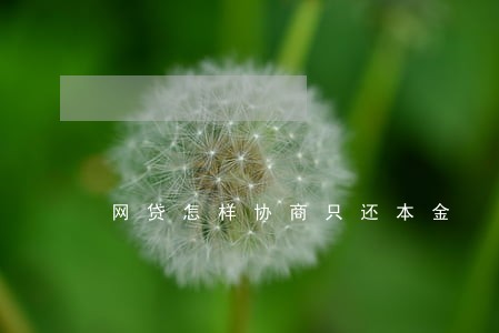 网贷怎样协商只还本金 网贷怎样协商只还本金