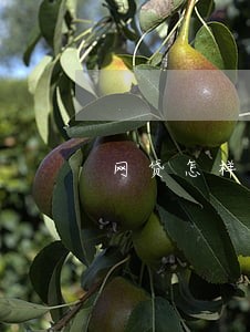 网贷怎样可以消除逾期 网贷怎样可以消除逾期