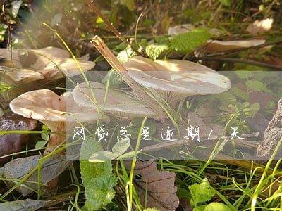 网贷总是逾期1天 网贷总是逾期1天