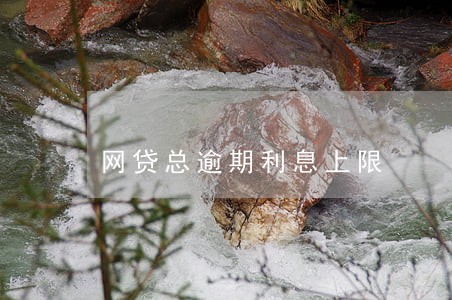 网贷总逾期利息上限