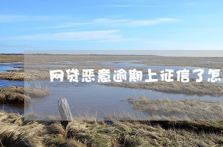 网贷恶意逾期上征信了怎么办 网贷恶意逾期上征信了怎么办