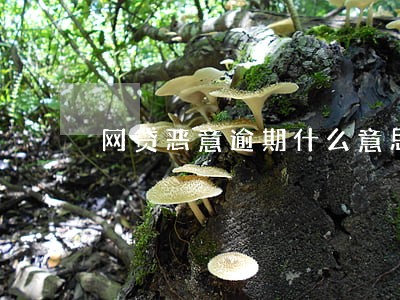 网贷恶意逾期什么意思 网贷恶意逾期什么意思