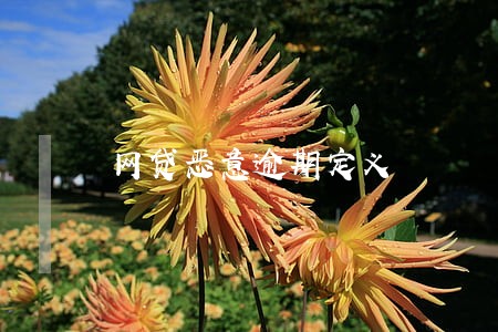 网贷恶意逾期定义