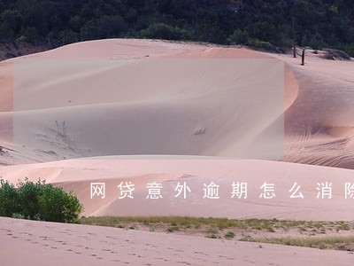 网贷意外逾期怎么消除 网贷意外逾期怎么消除