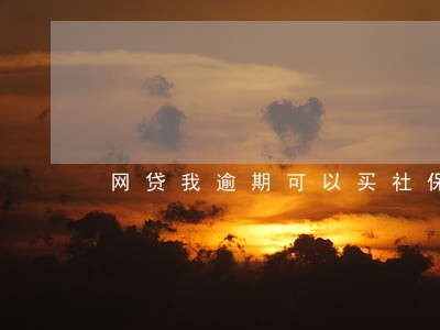 网贷我逾期可以买社保吗 网贷我逾期可以买社保吗