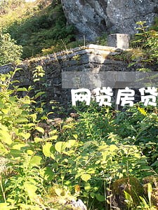 网贷房贷逾期
