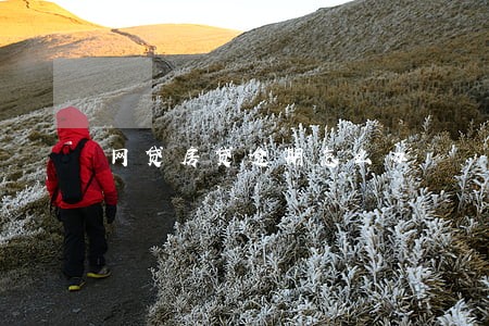 网贷房贷逾期怎么办 网贷房贷逾期怎么办