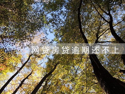 网贷房贷逾期还不上 网贷房贷逾期还不上