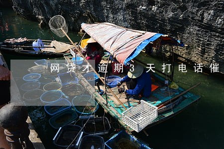 网贷才逾期3天打电话催债