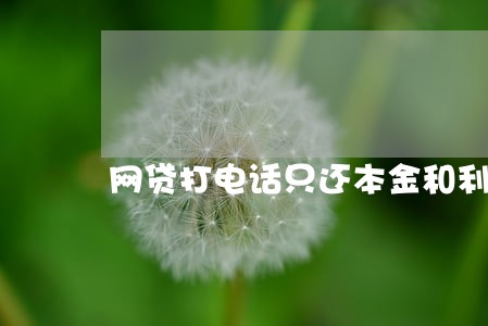 网贷打电话只还本金和利息