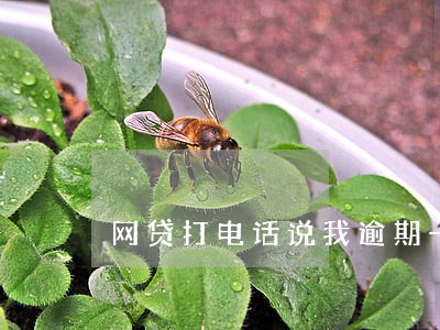 网贷打电话说我逾期一年 网贷打电话说我逾期一年