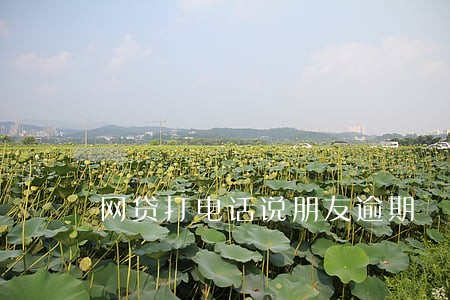 网贷打电话说朋友逾期 网贷打电话说朋友逾期