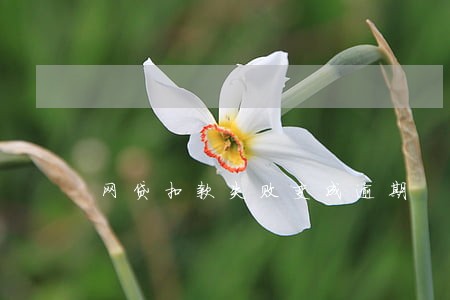 网贷扣款失败变成逾期 网贷扣款失败变成逾期