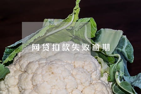 网贷扣款失败逾期