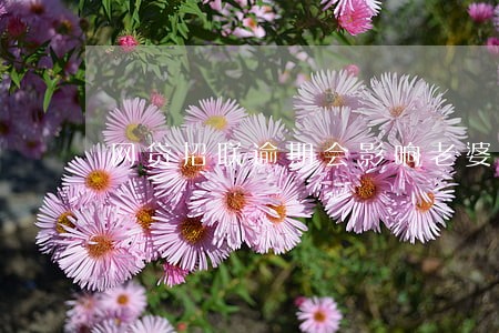 网贷招联逾期会影响老婆吗 网贷招联逾期会影响老婆吗