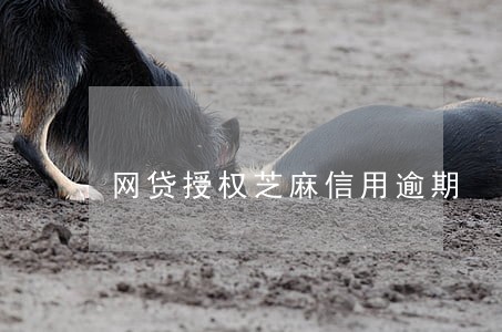 网贷授权芝麻信用逾期 网贷授权芝麻信用逾期