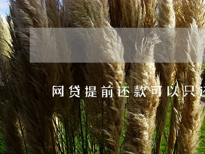 网贷提前还款可以只还本金吗 网贷提前还款可以只还本金吗