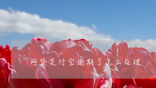 网贷支付宝逾期了怎么处理 网贷支付宝逾期了怎么处理